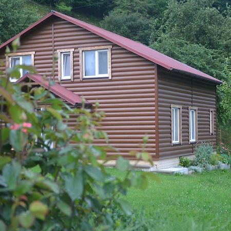 Pid lisochkom Verchovyna Exteriör bild