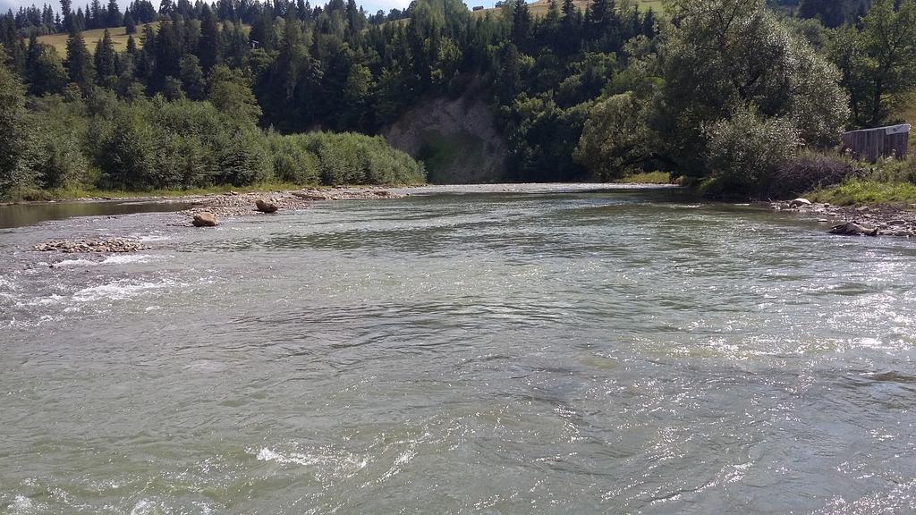 Pid lisochkom Verchovyna Exteriör bild